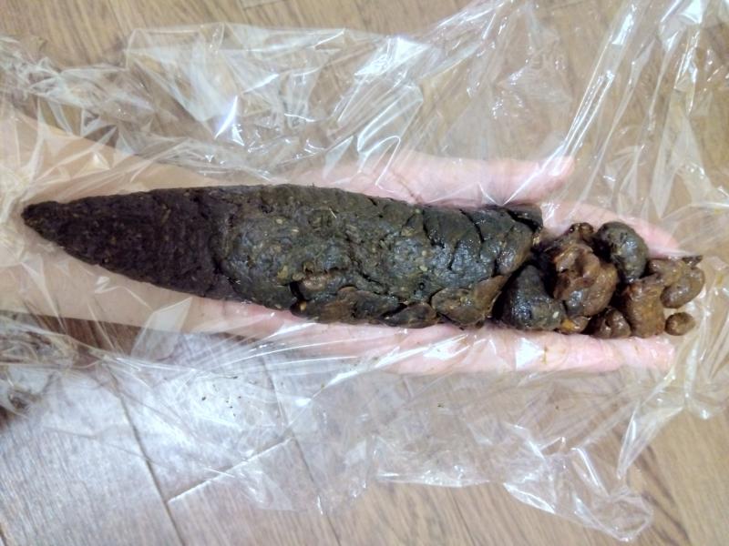 出品者名-写真-1